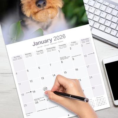 Welsh Terrier Kalender 2026