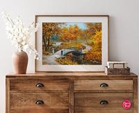 Autumn in an old Park Puzzel 1000 Stukjes - thumbnail