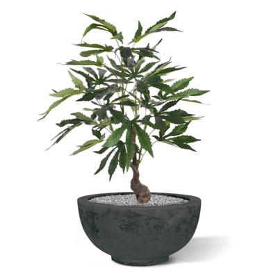 Cannabis kunstplant 60cm Cannabis kunstplant 60cm
