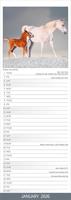 Paarden Kalender 2026 Slimline - thumbnail