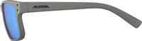 Olympic Sportswear Alpina sports bril kosmic grijs - thumbnail