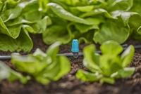 Gardena Micro Drip Systeem Sproeier voor kleine oppervlakken - thumbnail