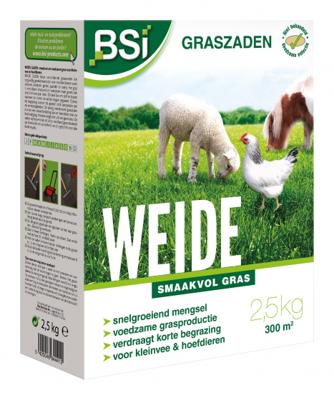Zaden BSI