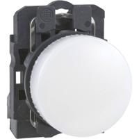 Schneider Electric XB5AV61 Verlichte melder 1 stuk(s) - thumbnail