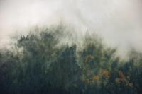 Noordwand Komar Stefan Hefele Fotobehang Tales of the Carpathians - SH036-VD3 - thumbnail