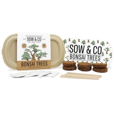 Gift Republic Bonsai Bomen