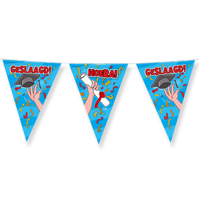 Paperdreams Vlaggenlijn - geslaagd/afstudeer feest- 10m - diverse kleuren - folie - Vlaggenlijnen Paperdreams Vlaggenlijn - geslaagd/afstudeer feest- 10m - diverse kleuren - folie - Vlaggenlijnen