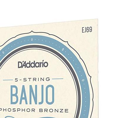 D'Addario EJ69 snarenset voor vijf-snarige banjo