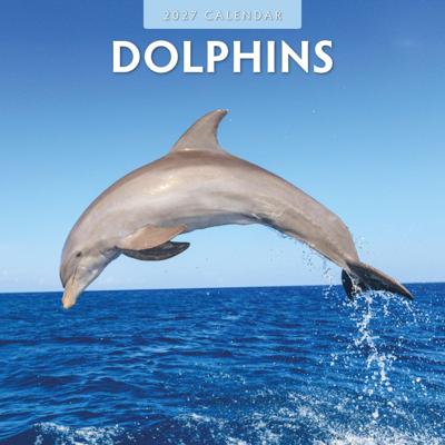 Dolfijnen Kalender 2027 Dolfijnen Kalender 2027