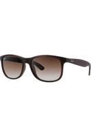 Zonnebril Ray-Ban ANDY 0RB4202 607313 55 Mat Bruin - thumbnail