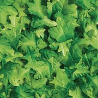 Colorations - groene blaadjes, 200st. - thumbnail