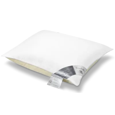 Vandyck Pure Nature Tweekamer Kussen 60x70