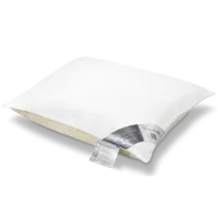 Vandyck Pure Nature Tweekamer Kussen 60x70 - thumbnail