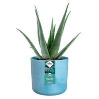 The ocean collection round 18cm atlantisch blauw elho - Elho - thumbnail