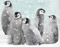 Good Morning Dekbedovertrek Pengu 140 x 200/220 cm + 1 kussen - thumbnail