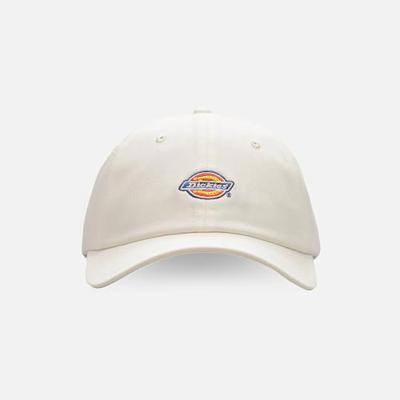 Sportcap Dickies Hardwick Cloud (Één maat)