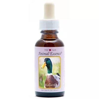 Animal Essences Mallard (wilde eend) 30 Milliliter