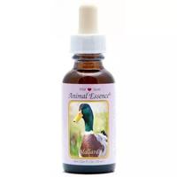 Animal Essences Mallard (wilde eend) 30 Milliliter - thumbnail