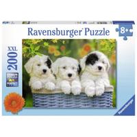 Ravensburger Ravensburger puzzel Schattige puppies - 200 stukjes - thumbnail