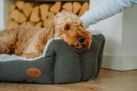 Nobby Cacho ovaal comfortbed, 55 x 50 x 21 cm, donkergrijs - thumbnail