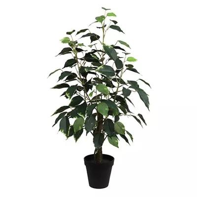 Ficus Bonsai Donkergroen 60 cm kunstplant Buitengewoon de Boet - Buitengewoon de boet Ficus Bonsai Donkergroen 60 cm kunstplant Buitengewoon de Boet - Buitengewoon de boet