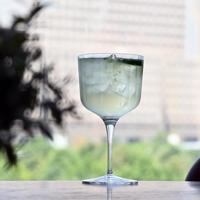 Luigi Bormioli Gin Tonic Glazen - Cocktailglazen - Bach - 600 ml - 4 stuks - thumbnail