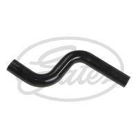 Radiateurslang 3669 - thumbnail