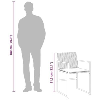 13-delige Tuinset met kussens poly rattan zwart