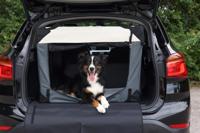 Honden-transportbox Journey, grijs/beige, Maat: 70x52x52 cm - thumbnail