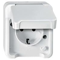 Merten MEG2400-8029 Wandcontactdoos AquaStar Lichtgrijs 1 stuk(s)