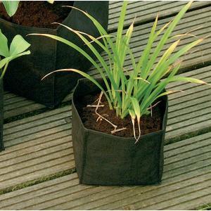 Waterplantzak vierkant 18 cm Waterplantzak vierkant 18 cm