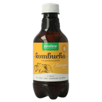 Purasana Kombucha curcuma vegan bio 330 Milliliter - thumbnail