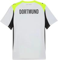 Borussia Dortmund Uit Shirt Senior 2025/2026 - Maat S - Kleur: ZwartGeelGrijs | Soccerfanshop - thumbnail