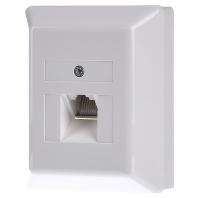 Rutenbeck UAE 8(8) Ap rw Netwerkdoos Opbouw (op muur) 1 poort Wit