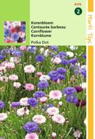 Zaden Centaurea Korenbloem Polka Dot gemengd Hortitops - Hortitops - thumbnail