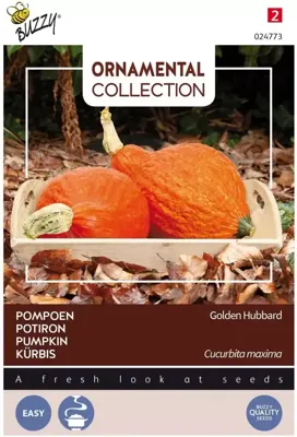 Zaden Ornamental Pompoen Golden Hubbard Buzzy - Buzzy Zaden Ornamental Pompoen Golden Hubbard Buzzy - Buzzy