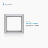 Busch-Jaeger 1-voudig Frame Frame Allweather 44 (IP44) Witaluminium (RAL 9006), Aluminium 2CKA001730A0276 - thumbnail