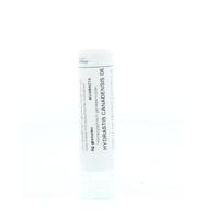 Homeoden Heel Hydrastis canadensis D6 6 Gram - thumbnail
