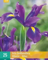 Iris hollandica blauw - thumbnail