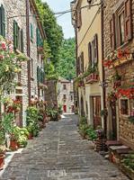 Bloemensteeg 50x70cm Tuinschilderij Customize-it - Customize it - thumbnail