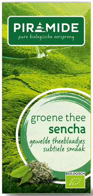 Piramide Groene thee sencha eko bio 20 Zakjes