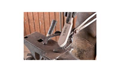 PFERD TOOLS Hbu Staalborstel RVS 290 mm 10 stuk(s)