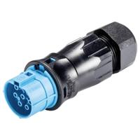 Wieland Electric 96.071.4853.9 Steekverbinder - thumbnail