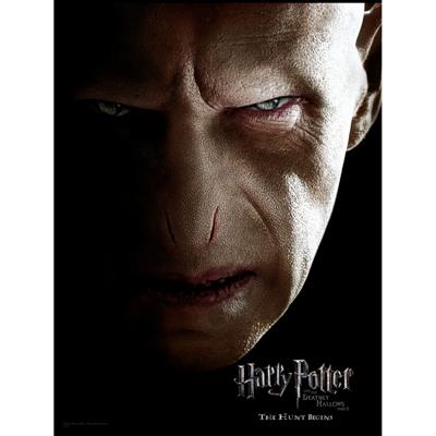 Harry Potter Glass Poster Voldemort 30 x 40 cm