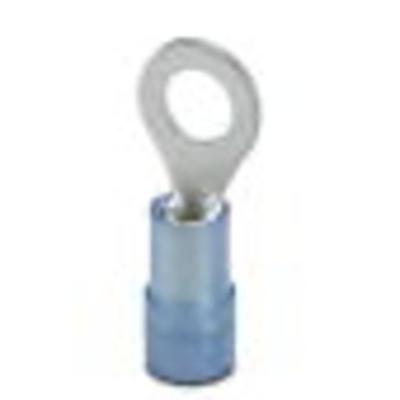 Phoenix Contact 3241208 Ringkabelschoen Dwarsdoorsnede (max.): 2.50 mm² Schachtdiameter: 5.30 mm Deels geïsoleerd Blauw 100 stuk(s) Phoenix Contact 3241208 Ringkabelschoen Dwarsdoorsnede (max.): 2.50 mm² Schachtdiameter: 5.30 mm Deels geïsoleerd Blauw 100 stuk(s)