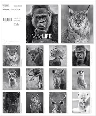 Wildlife face to Face Kalender 2026 Wildlife face to Face Kalender 2026