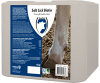 Excellent Liksteen Biotin 10 kg - thumbnail