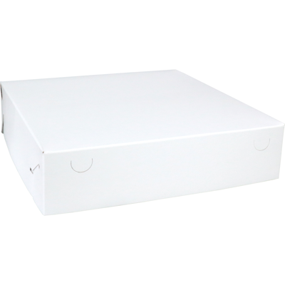 Zwanenhals/ verzenddoos | karton | 34x34x8cm | duplex | wit | 50 stuks