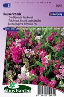Lathyrus Latifolius zaden Reukerwt Gemengd - thumbnail