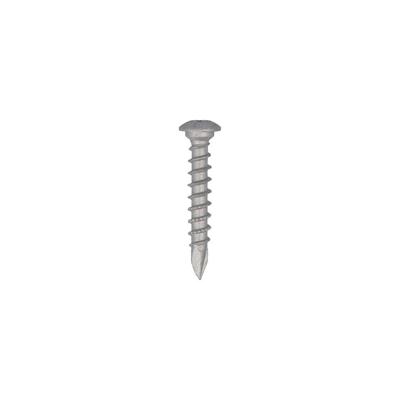 Dynaplus Paalhouderschroef Ar-Silver Ovk Tx-4